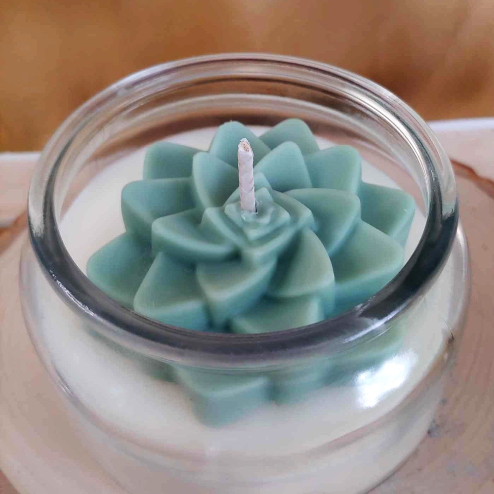 Succulent Shaped Candle in Glass Holder